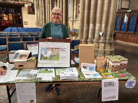 Photo of the swift stall in a church with information sheets and wildlflower seeds