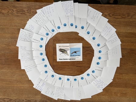 Photo of 30 postcards in a circle