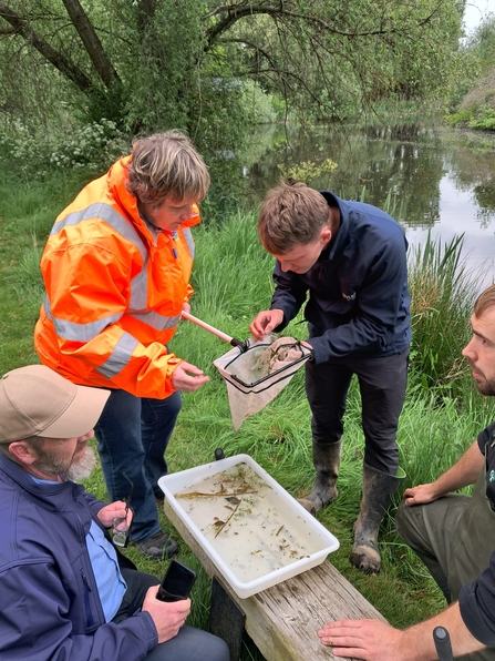 Group of people looking at invertebrates from local river after kick sampling