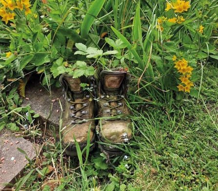 Boots overgrown with plants in a wildlife gallery