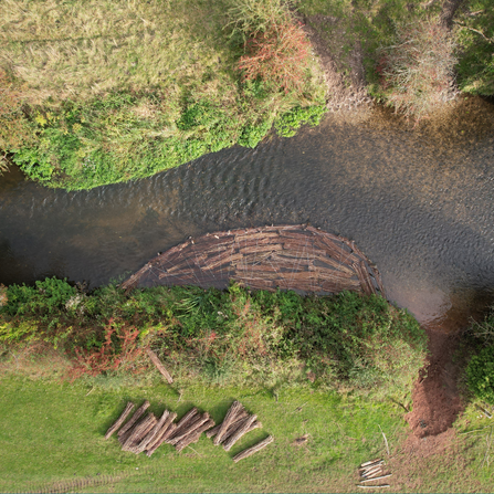 River restoration brash berm