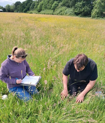 Two people kneeling down in a meadow surveying the plants they find there