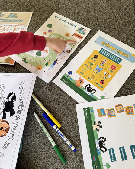 Child pointing at the activity sheet for the hedgehog walk with colouring pens