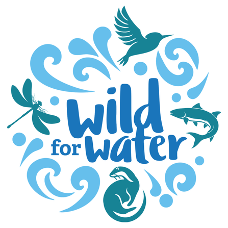 image of wild for water logo with waves, otter, dragonfly, kingfisher, trout