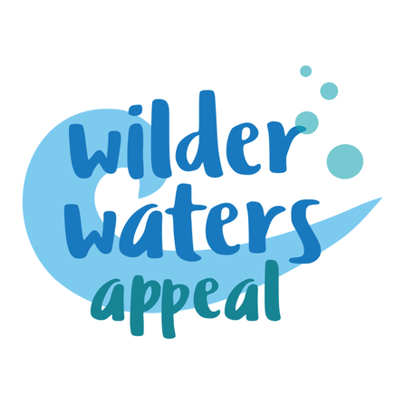 Image of wilder waters appeal logo with a wave and bubbles