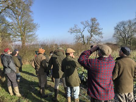 farmers looking at birds in a field