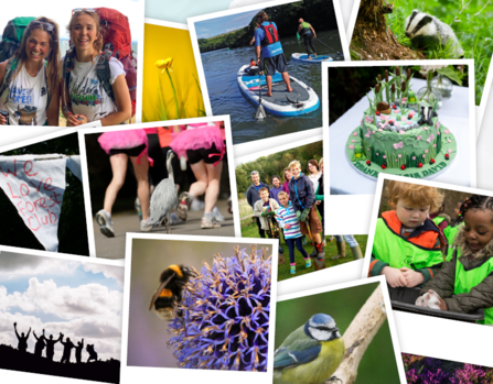 a collection of photos showing examples of fundraising from hiking to running to paddleboarding to a cake to children to a bee to a blue tit