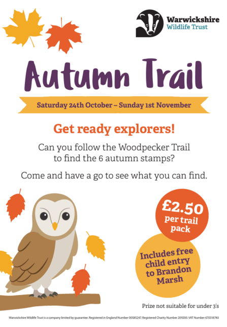 autumn trail poster for event with owl graphic and leaves