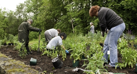 Planting wildlife-friendly plants