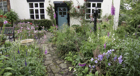 Wildlife friendly gardening, cottage garden Tom Marshall