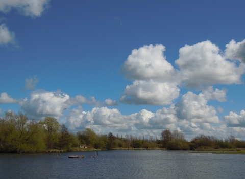 Brandon Marsh blue sky