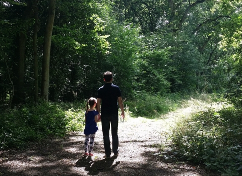 Bubbenhall Wood Family walk