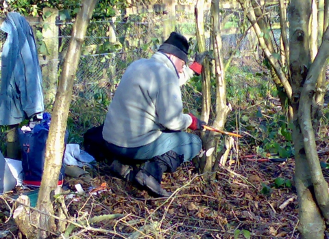 Cock Robin Wood volunteer coppicing