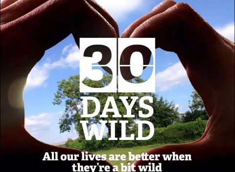 30 Days Wild 2017 heart and logo Emma Bradshaw