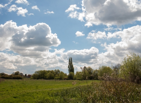 Leam Valley nature reserve New Leaf Images