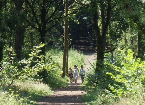 Oakley Wood family walk Steven Cheshire