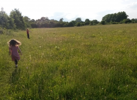 Children exploring Taskers Meadow Vicky Page