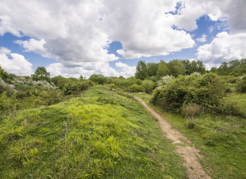 Ufton Fields Steven Cheshire