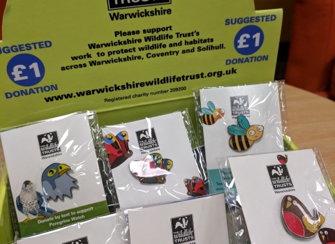 Pin badge box Credit Louise Barrack