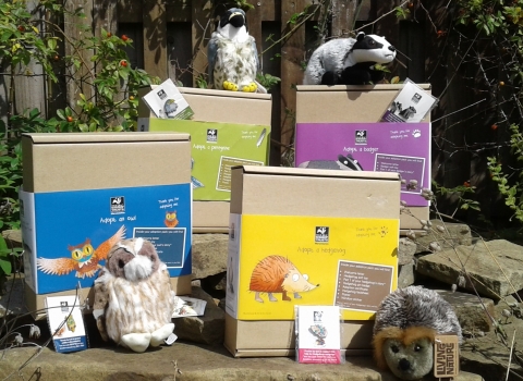 Adopt a species packs 2017