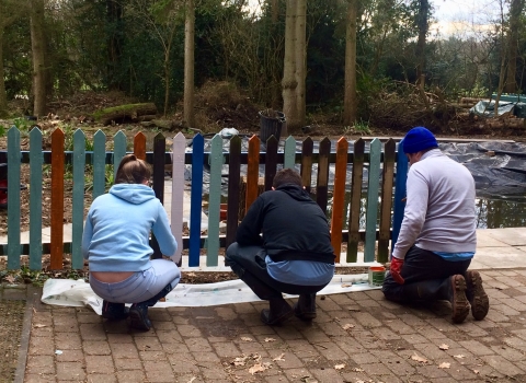 LM Wild Work Day painting Parkridge fencing 2018