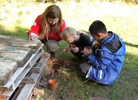 Cardinal Newman school Outdoor Learning PPL Credit Paula Irish