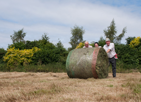 Hay at Dunchurch Meadows 2014