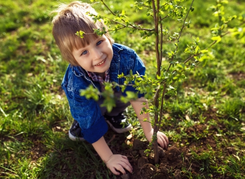 Child planting tree Credit maxbelchenko
