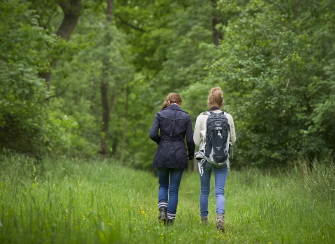 Wildlife Walks Credit Matthew Roberts Wildnet