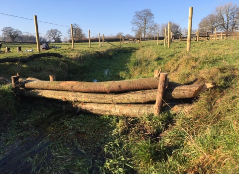 Leaky barriers Slashpitts Farm Credit Nick Martin