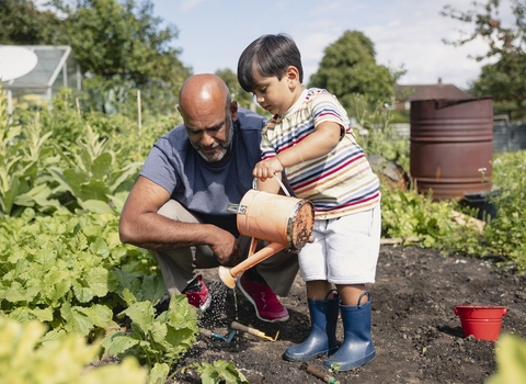 Wild gardening