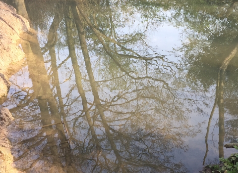 Whitnash Brook Credit Kat Reay