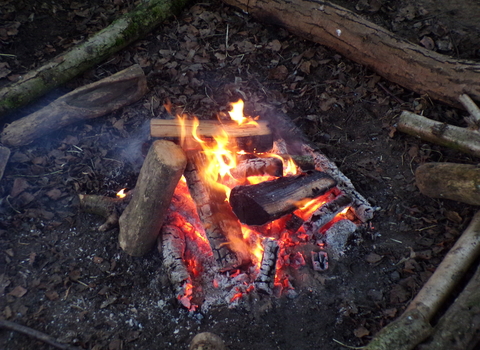 Camp fire bushcraft