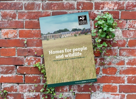 Homes for people and wildlife