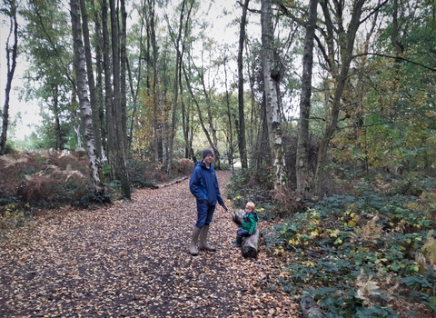 Resting little legs at Crackley Wood  Jo Hands