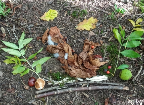 Squirrel nature art