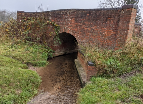 River Sherbourne Counden Walkover by Caroline Temple November 2020