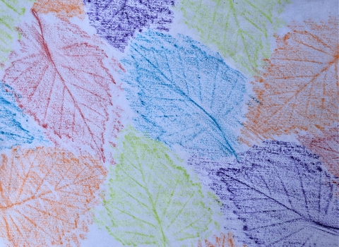 leaf rubbings using wax crayon