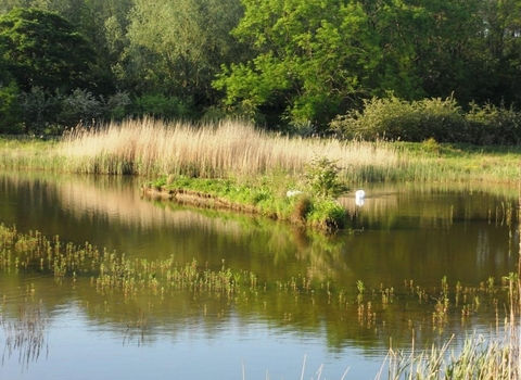 leam valley nature reserve
