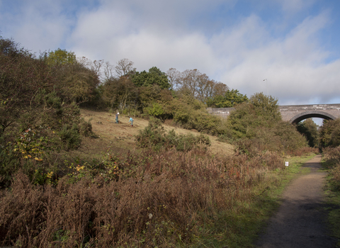 Ashlawn Cutting