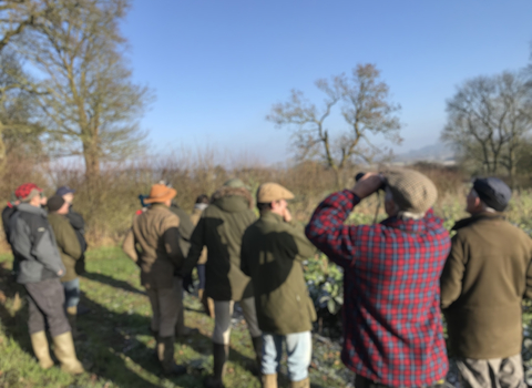 Farmland Bird Event