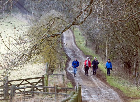 winter walk