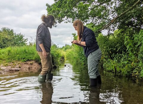 River Sherbourne sampling