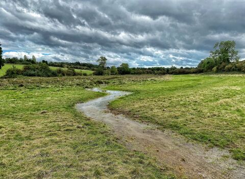 North Brook