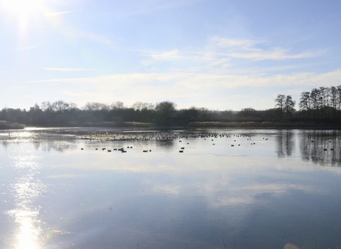 A picture of a lake at Brandon Marsh Nature Reserve