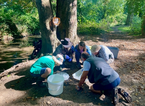 A group of people conducting a wildlife survey beside a river