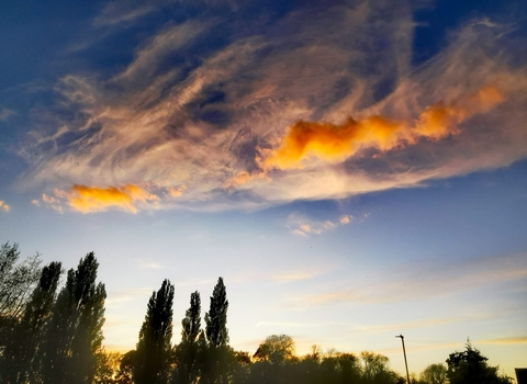 Photo of a sunset in nuneaton with trees and a lampost