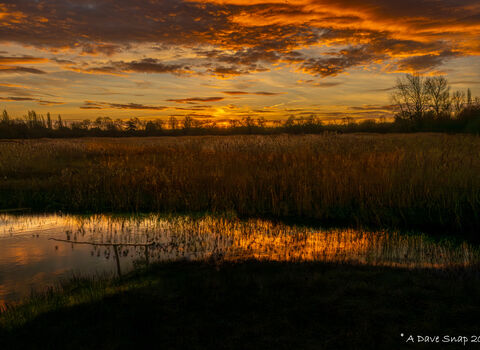 Sunrise at Brandon Marsh