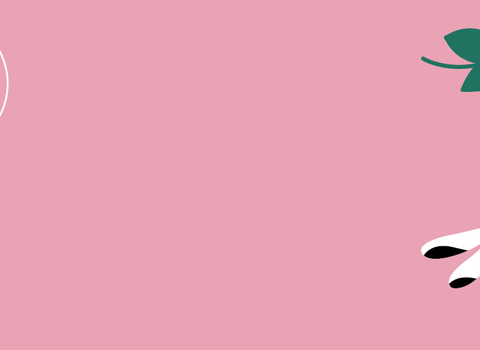A pink banner with illustrations of a dragonfly and ladybird