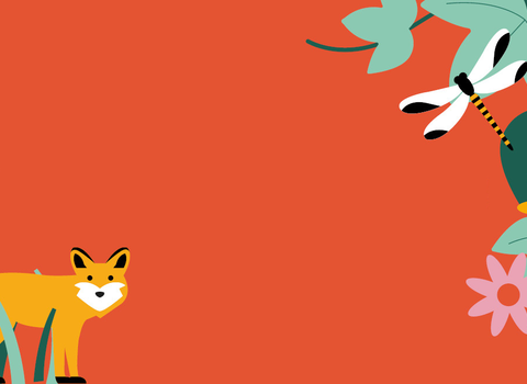 An orange banner for Creature Count featuring an illustration of a fox and a dragonfly